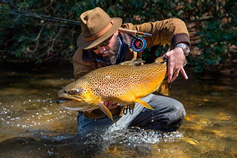 Fly Fishing For Trout Videos Zara Anderea