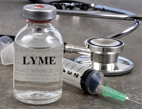 Why We Care About The Safety And Efficacy Of Lyme Disease Vaccines