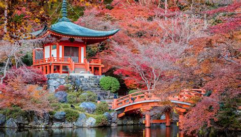 Holidays In Japan From £726 Search Flighthotel On Kayak