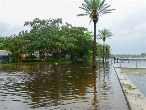 Tropicana field(tampa bay rays baseball). June 24 Debby Storm: Coffee Pot Bayou and St Pete, FL | Flickr