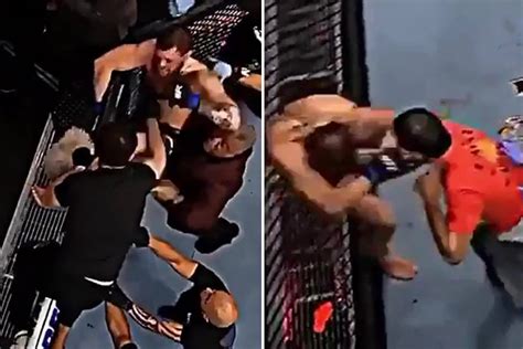 Conor Mcgregor Shares Throwback Footage Landing Punches In Infamous Khabib Brawl At Ufc 229 And