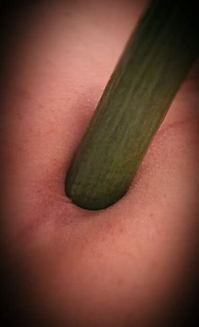 English Cucumber Anal Fruitnvegeguy