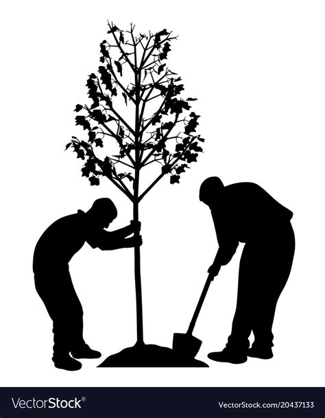 Two Men Planting A Tree Royalty Free Vector Image