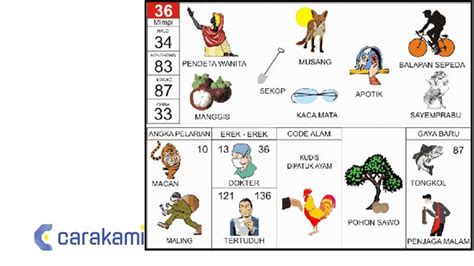 erekerek 36