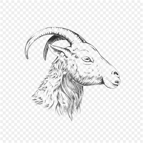 Goat Head Design With Neat Pencil Shading Goat Drawing Head Drawing