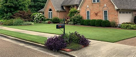 Weed Control Services In The Greater Memphis Tn Area Picture Perfect