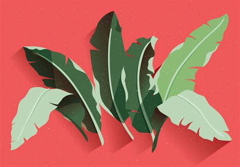 Almost files can be used for commercial. Banana Leaf Vector - Download Free Vectors, Clipart ...