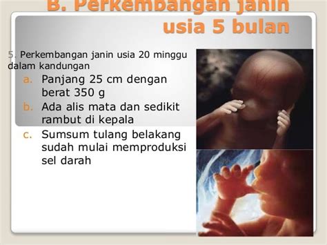 Gambar Bayi Usia 5 Bulan Dalam Kandungan Adzka