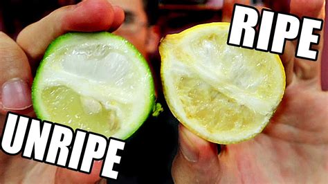 LIMES ARE ACTUALLY YELLOW A Ripe Unripe Comparison Weird Fruit