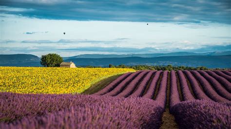 Lavender France Provence Field Wallpaper 2048x1152 636022 Wallpaperup