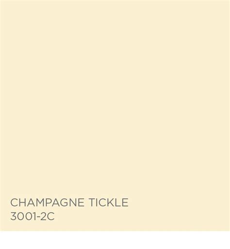 ️pink Champagne Paint Color Free Download
