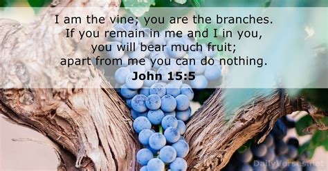John 155 Bible Verse