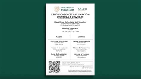 Ya Se Puede Consultar E Imprimir Certificado De Vacunación Contra Covid 19
