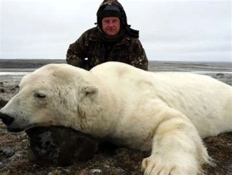 Remorseless Trophy Hunters Pose Over Polar Bear Corpses Wildest