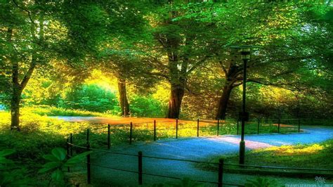 Beautiful Scenery Wallpapers Wallpaper Cave