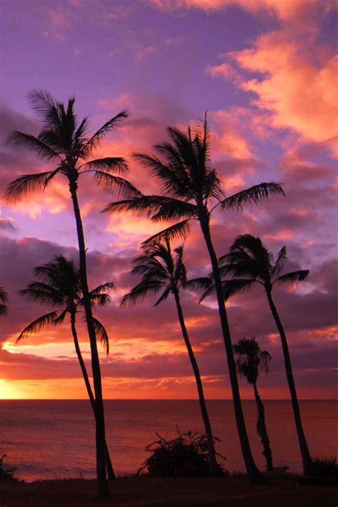 Hawaii Sunset Beach Sunset Wallpaper Sunset Iphone Wallpaper Sunset