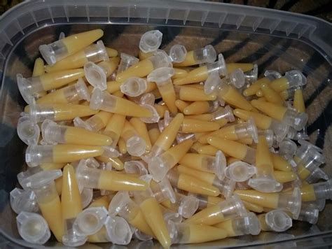 I also go over what propagations are all about and how it works! De vanzare pasta PENTRU KEIKI -ORCHIDEE - olgas