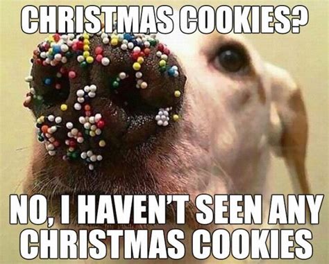 20 Memes To Remind You How Hilarious Xmas Can Be