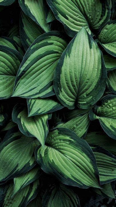 4k wallpapers of iphone 12 pro max for free download. Pin on The latest iPhone11, iPhone11 Pro, iPhone 11 Pro ...
