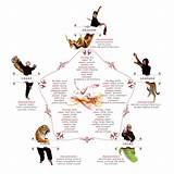 Pictures of Animal Styles Of Kung Fu