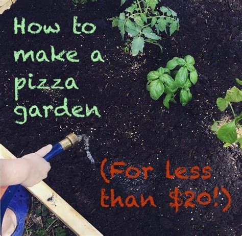 How To Make A Pizza Garden Real Advice Gal