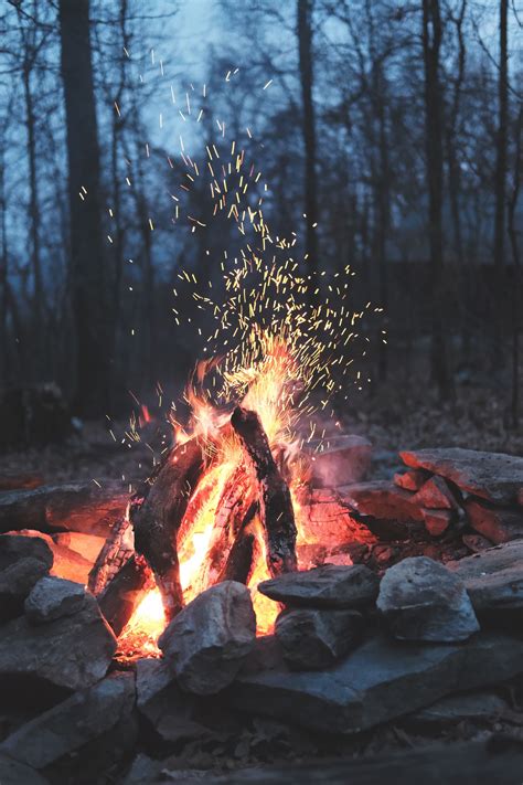 Fire Campfire Flame Forest And Wood Hd Photo By Timothy Meinberg