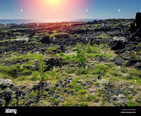 Volcanic Island Surtsey Hi Res Stock Photography And Images Alamy