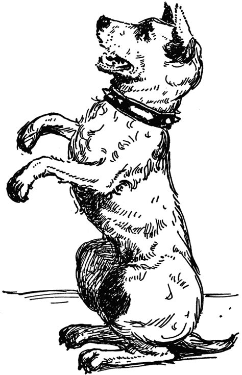 But you still want a name that will suit your dog's characteristics—in this case, you need black and white dog names for your black and white dog. Dog | ClipArt ETC