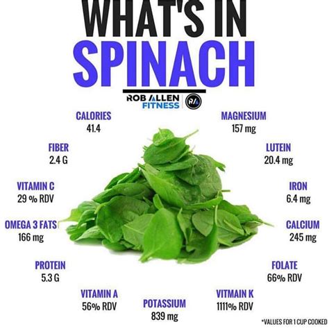 Rob Allen On Instagram 🍃whats In Spinach🍃 Follow Roballenfitness