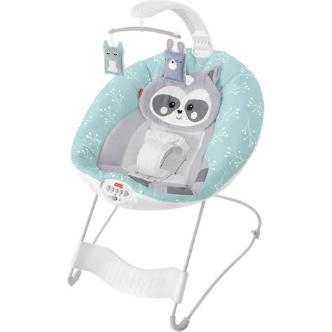 Fisher Price Baby Raccoon See And Soothe Deluxe Bouncer Infant Seat