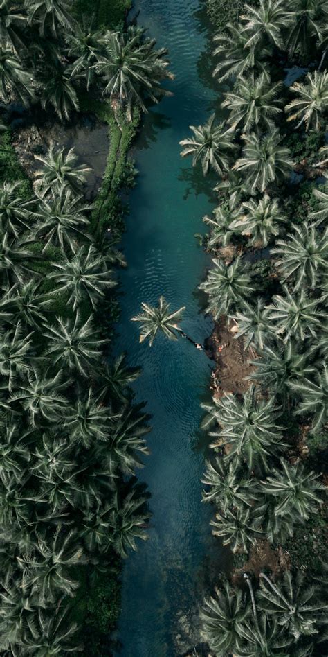 Download Wallpaper 1080x2160 Nature Aerial View Palm Trees Stream