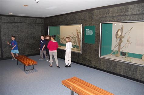 Gallery Renovation The New York State Museum