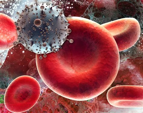 Human Immune System Beats Hiv For The First Time Qps