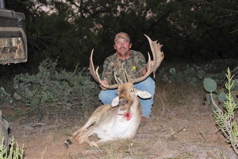 Texas Fallow Deer Hunts Three Amigos Ranch