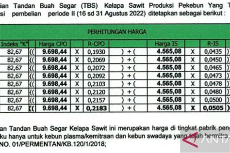 Harga TBS Sawit Kaltim Naik Jadi Rp Per Kg ANTARA News Kalimantan Timur