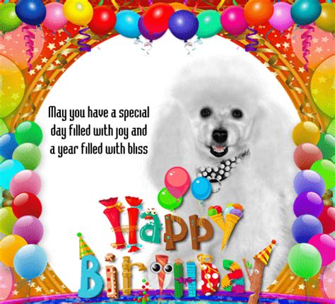 Maybe you would like to learn more about one of these? A Cute Birthday Card For Your Pet. Free Pets eCards, Greeting Cards | 123 Greetings