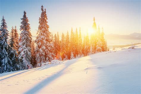 Winter Sunshine And Beautiful Snow Scene Stock Photo Nature Stock