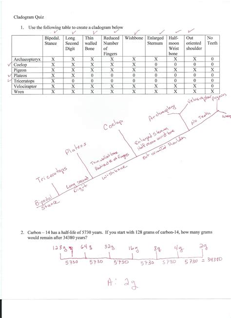 Cladogram worksheet procedure step 1. 28 Cladogram Practice Worksheet Answers - Worksheet Data ...