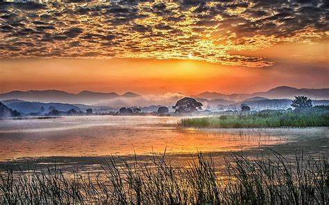 Sunrise Landscape Graphy Early Morning Swamp Evaporation Streaming Sky