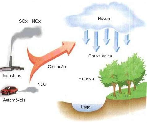 Learn vocabulary, terms and more with flashcards, games and other study tools. Floresta do Meio do Mundo: Aula de hoje: Chuva ácida