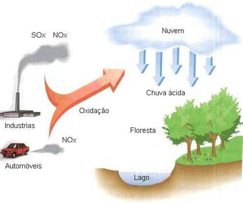 Jul 08, 2021 · the causes of acid rain, how acid rain affects our environment and our health, and what regulatory actions have been put in place to reduce the pollutants that cause acid rain. Floresta do Meio do Mundo: Aula de hoje: Chuva ácida