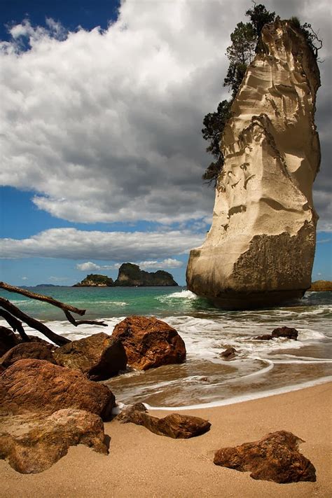 Cathedral Cove Beach Coromandel Peninsula New Zealand