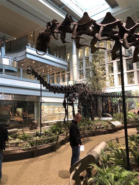 Dinosaurs In Their Time At Carnegie Museum Of Natural History In