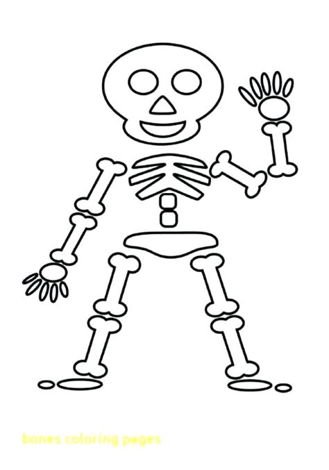 Human Skeleton Coloring Pages at GetColorings.com | Free printable