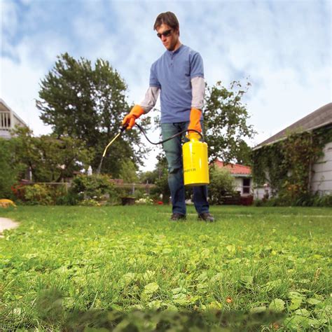 Lawn Health In Weed Control Best Manual Lawn Aerator