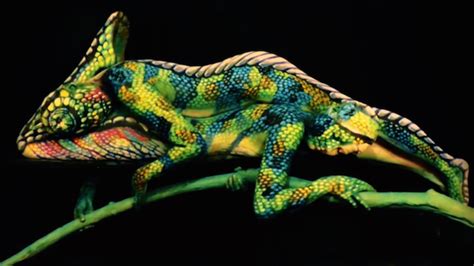 They are organized annually worldwide, bringing together star body. Hyperrealistic Body Paint Looks Like a Real Life Chameleon ...