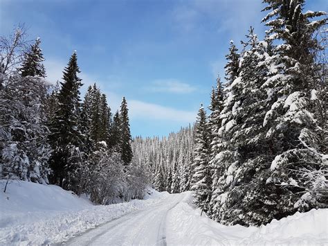 Free Images Landscape Tree Forest Snow Road Mountain Range