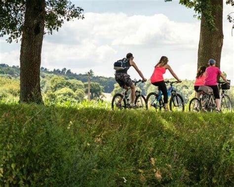 3 Days Short Trip Bike Tours For The Moselle Cycle Path