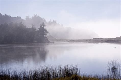 Free Images Landscape Tree Nature Marsh Wilderness Mountain