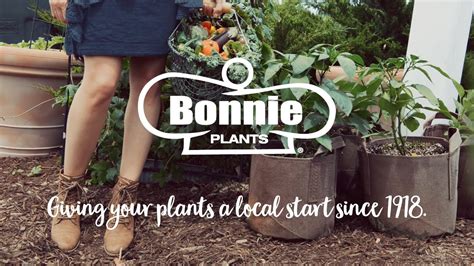 Bonnie Plants Giving Your Plants A Local Start Since 1918 Youtube